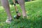 Backyard croquet