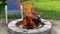 backyard fire pit with tree wood burning and red-orange flames
