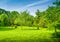 A backyard and garden with manu trees and grass on lawn