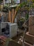 A backyard on the japanese traditional cemetery