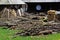 The backyard of a peasant household in Maramures county.