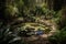 backyard with pond, surrounded by dragonflies and frogs