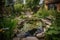 backyard with pond, surrounded by dragonflies and frogs