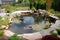 backyard ponds and water features as tranquil escape from busy city life