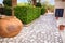 A backyard with stone footpath, hedges, palm trees and clay vases