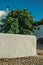 Backyard wall covered by white plaster with leafy tree