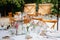 Backyard wedding reception - round tables with white tablecloths, vintage lanterns, roses and hyacinth,  and bentwood chairs