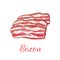 Bacon strip isolated sketch with pork meat slice