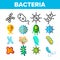 Bacteria, Bacterial Cells Vector Thin Line Icons Set