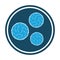 Bacteria blue icon. vector