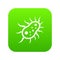 Bacteria centipede icon digital green