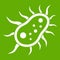 Bacteria centipede icon green