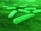 Bacteria close-up. microbes.