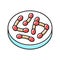 bacteria corynebacterium diphtheriae color icon vector illustration