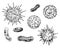 Bacteria and germs hand drawn set micro-organisms disease-causing objects, bacteria, viruses, pandemic microbes, fungi. Vector