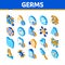 Bacteria Germs Vector Isometric Icons Set