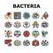 Bacteria Infection Collection Icons Set Vector