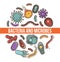 Bacteria and microbes science poster with biological organisms