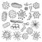 Bacteria sketch. Drawing viruses biological closeup cells covid type of bacteria medical concept illustrations recent