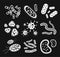 Bacteria virus black and white vector icons set