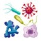 bacteria virus cell set cartoon vector illustration