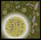 Bacteria and virus seamless pattern inversion