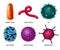 Bacteria Viruses Realistic Set