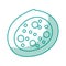 Bacterial cell structure icon