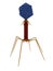 Bacteriophage