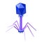 Bacteriophage isometric illustration