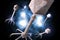 Bacteriophage Virus 3D Illustration