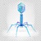 Bacteriophage virus with dna chain inside. Beautiful  3d illustration