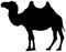 Bactrian camel silhouette.