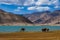 Bactrian camels in front of blue lake