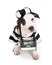 Bad Dog Wearing Criminal Halloween Costume