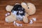 Bad naughty schnauzer dog destroyed plush toy