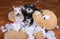 Bad naughty schnauzer dogs destroyed plush toy