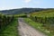 Bad Neuenahr-Ahrweiler, Germany - 10 19 2020: Curvy dirt road above Ahr valley, surrounded by vineyards during autumn