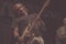 Bad Religion, Jay Bentley , live concert bayfest 2018