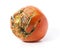 Bad tomato with scars isolated