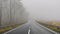 Bad weather driving - foggy hazy country road. Motorway - road traffic