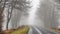 Bad weather driving - foggy hazy country road. Motorway - road traffic.