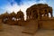 Bada Bagh or Barabagh, means Big Garden, is a garden complex in Jaisalmer, Rajasthan, India, for Royal cenotaphs, or chhatris, of