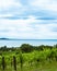 BADACSONYTOMAJ, HUNGARY - JULY 3, 2020: Scenic view of lake Balaton, Hungary