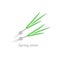 A badge of green onions. Isolated vegetable linear style for menu, label, logo.