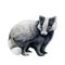 Badger animal hand drawn image. Watercolor illustration. Wild forest animal. Woodland black and white europe predator