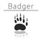 Badger animal track