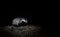 Badger beast at night