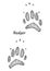 Badger footprint illustration, drawing, engraving, ink, line art, vector
