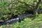 Badgworthy River in Doone Valley, Exmoor, North Devon